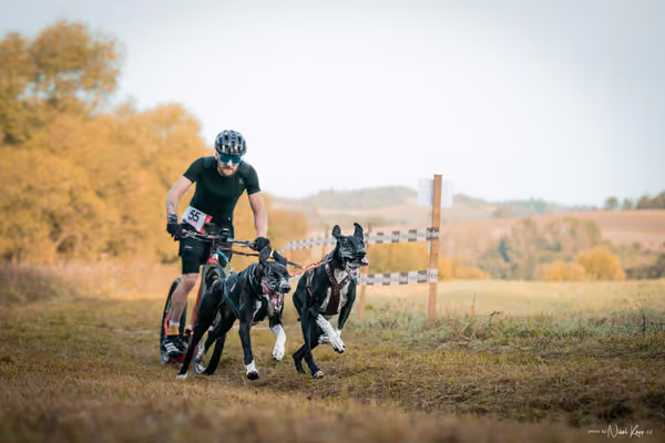 LOUKA 2026 | Český pohár ČASS — Louka - Neděle – Start a cíl
