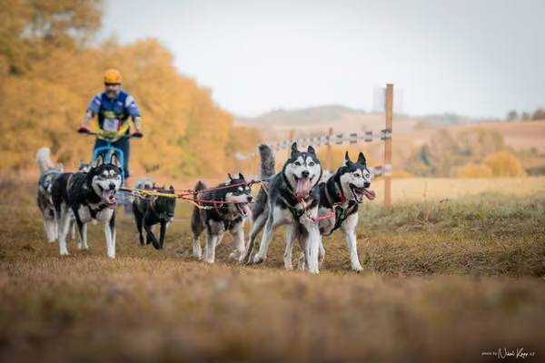 LOUKA 2026 | Český pohár ČASS — Louka - Neděle – Start a cíl
