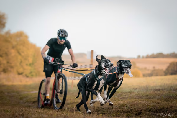 LOUKA 2026 | Český pohár ČASS — Louka - Neděle – Start a cíl