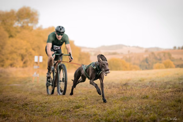 LOUKA 2026 | Český pohár ČASS — Louka - Neděle – Start a cíl