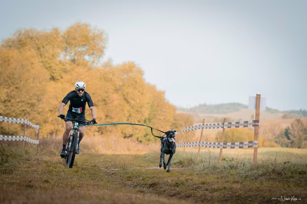 LOUKA 2026 | Český pohár ČASS — Louka - Neděle – Start a cíl
