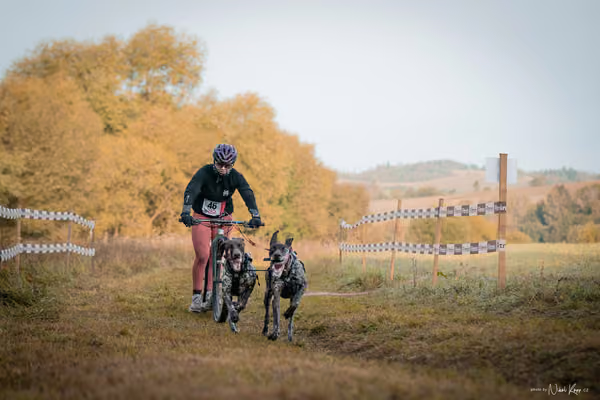 LOUKA 2026 | Český pohár ČASS — Louka - Neděle – Start a cíl