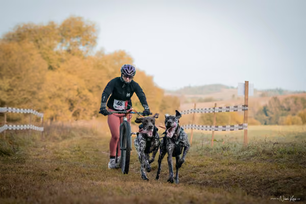 LOUKA 2026 | Český pohár ČASS — Louka - Neděle – Start a cíl