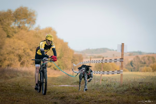 LOUKA 2026 | Český pohár ČASS — Louka - Neděle – Start a cíl