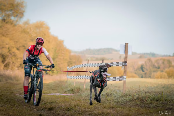 LOUKA 2026 | Český pohár ČASS — Louka - Neděle – Start a cíl