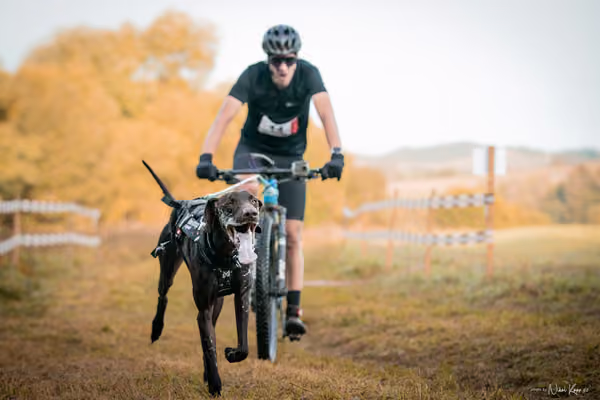 LOUKA 2026 | Český pohár ČASS — Louka - Neděle – Start a cíl