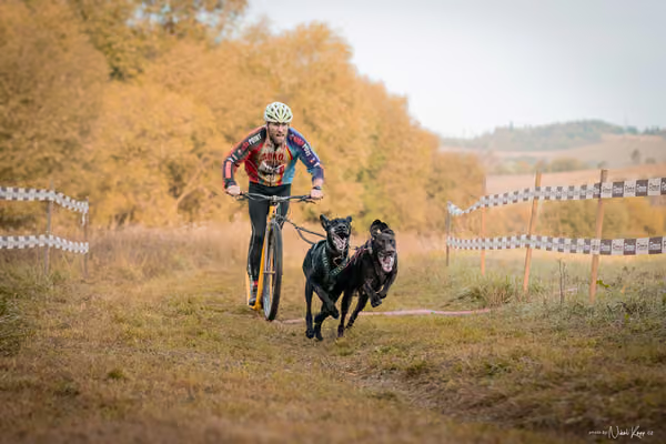 LOUKA 2026 | Český pohár ČASS — Louka - Neděle – Start a cíl
