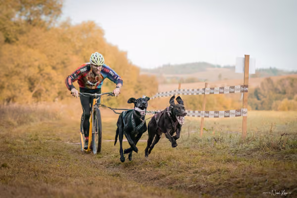 LOUKA 2026 | Český pohár ČASS — Louka - Neděle – Start a cíl
