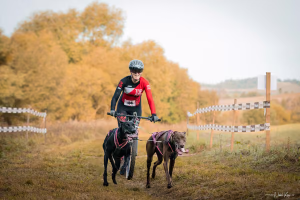 LOUKA 2026 | Český pohár ČASS — Louka - Neděle – Start a cíl
