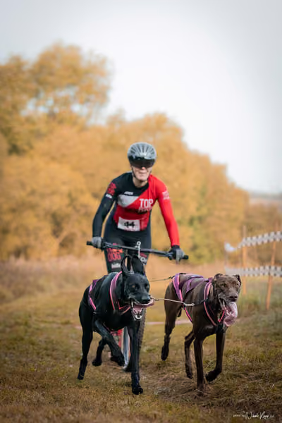 LOUKA 2026 | Český pohár ČASS — Louka - Neděle – Start a cíl