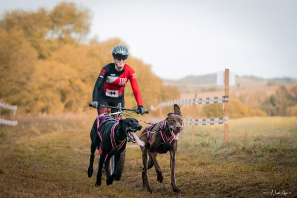 LOUKA 2026 | Český pohár ČASS — Louka - Neděle – Start a cíl