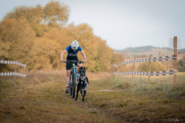 LOUKA 2026 | Český pohár ČASS — Louka - Neděle – Start a cíl
