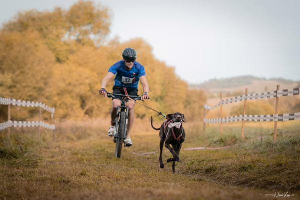 LOUKA 2026 | Český pohár ČASS — Louka - Neděle – Start a cíl