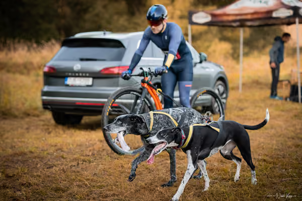 LOUKA 2026 | Český pohár ČASS — Louka - Neděle – Start a cíl
