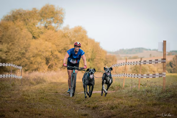 LOUKA 2026 | Český pohár ČASS — Louka - Neděle – Start a cíl