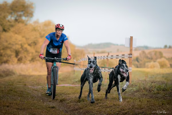 LOUKA 2026 | Český pohár ČASS — Louka - Neděle – Start a cíl