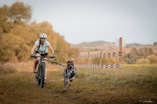 LOUKA 2026 | Český pohár ČASS — Louka - Neděle – Start a cíl