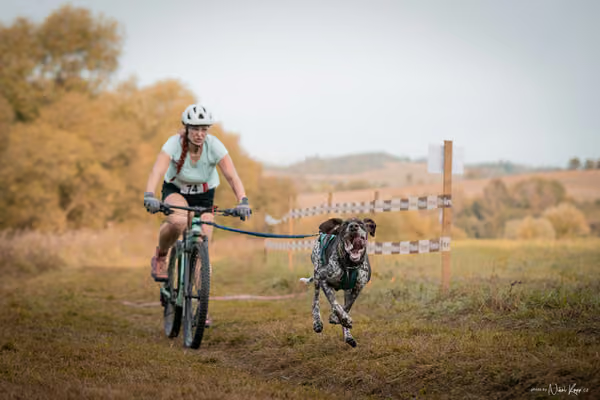 LOUKA 2026 | Český pohár ČASS — Louka - Neděle – Start a cíl