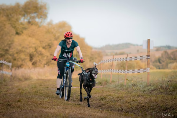 LOUKA 2026 | Český pohár ČASS — Louka - Neděle – Start a cíl