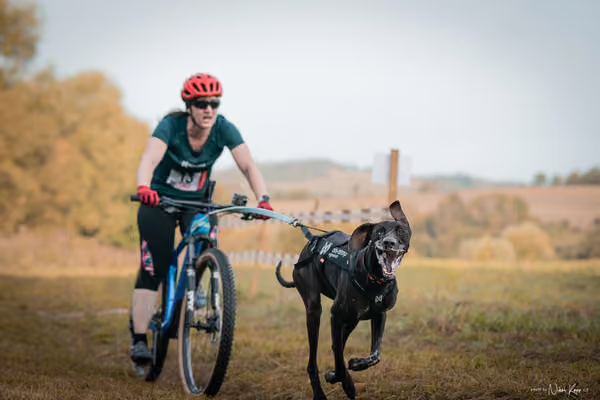LOUKA 2026 | Český pohár ČASS — Louka - Neděle – Start a cíl