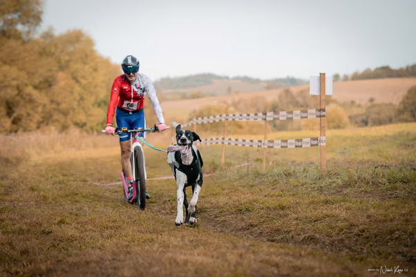 LOUKA 2026 | Český pohár ČASS — Louka - Neděle – Start a cíl