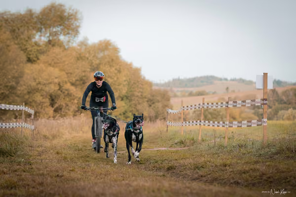 LOUKA 2026 | Český pohár ČASS — Louka - Neděle – Start a cíl