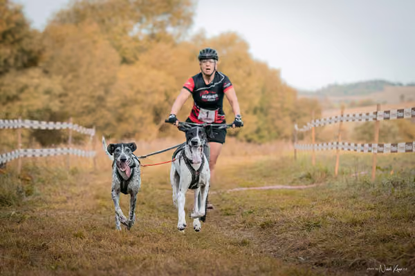 LOUKA 2026 | Český pohár ČASS — Louka - Neděle – Start a cíl