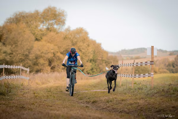 LOUKA 2026 | Český pohár ČASS — Louka - Neděle – Start a cíl