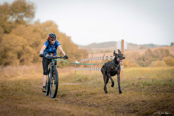 LOUKA 2026 | Český pohár ČASS — Louka - Neděle – Start a cíl