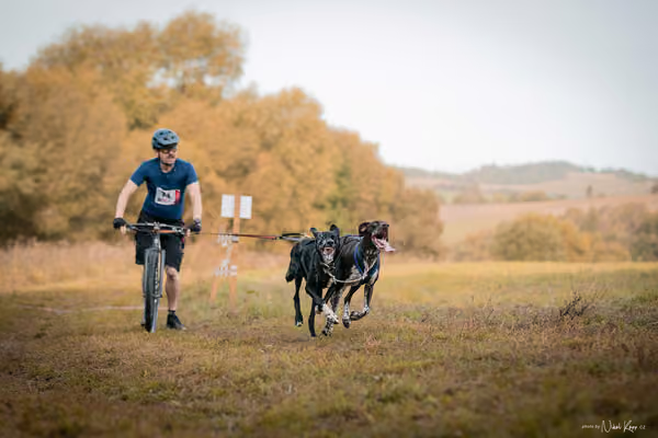 LOUKA 2026 | Český pohár ČASS — Louka - Neděle – Start a cíl