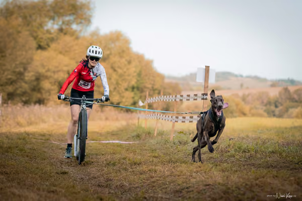 LOUKA 2026 | Český pohár ČASS — Louka - Neděle – Start a cíl