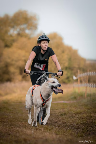 LOUKA 2026 | Český pohár ČASS — Louka - Neděle – Start a cíl