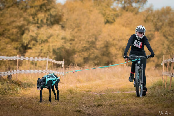 LOUKA 2026 | Český pohár ČASS — Louka - Neděle – Start a cíl