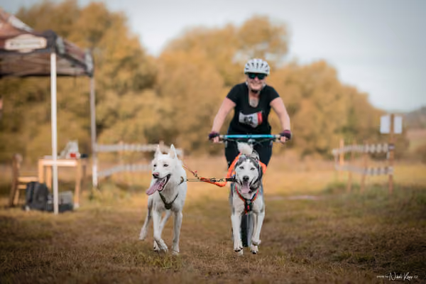 LOUKA 2026 | Český pohár ČASS — Louka - Neděle – Start a cíl
