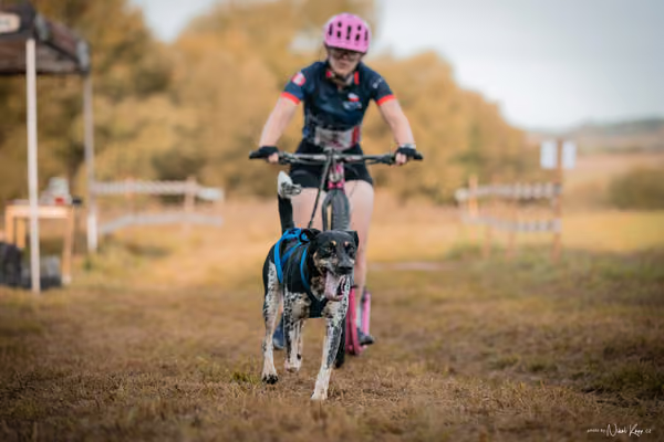LOUKA 2026 | Český pohár ČASS — Louka - Neděle – Start a cíl