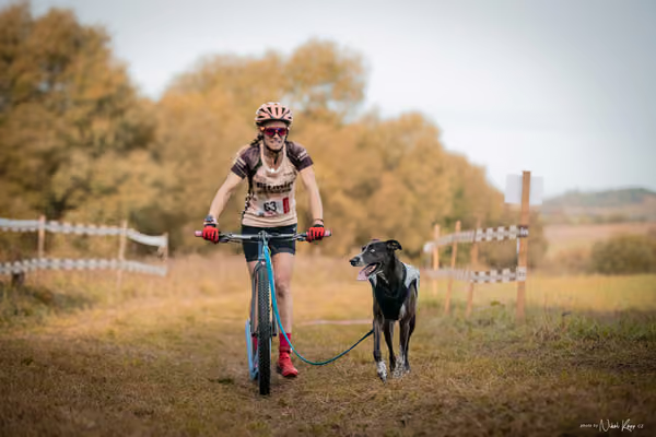 LOUKA 2026 | Český pohár ČASS — Louka - Neděle – Start a cíl