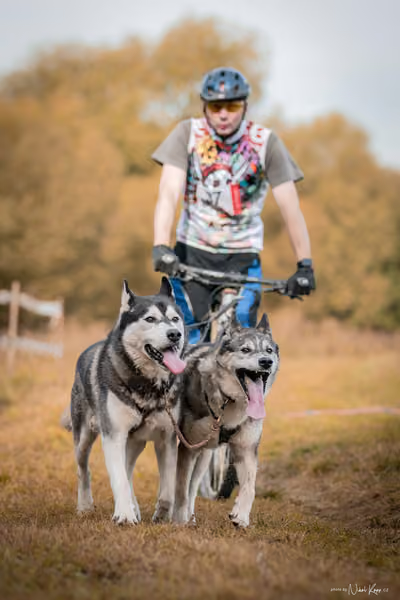 LOUKA 2026 | Český pohár ČASS — Louka - Neděle – Start a cíl