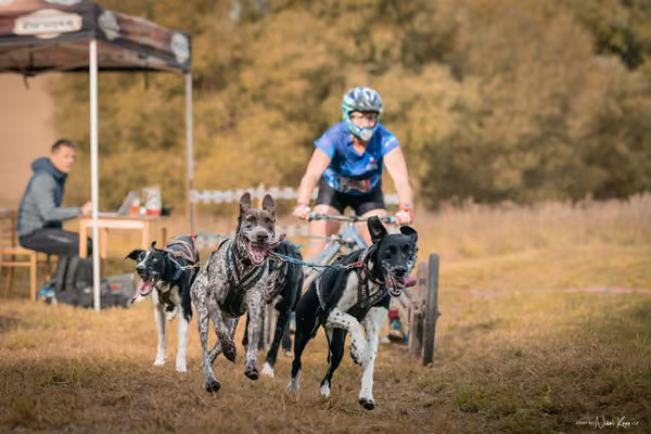 LOUKA 2026 | Český pohár ČASS — Louka - Neděle – Start a cíl