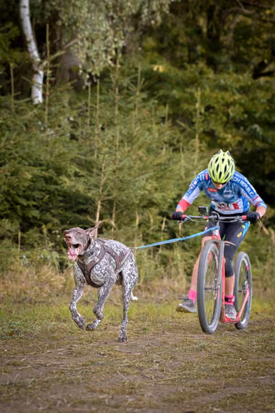 LOUKA 2026 | Český pohár ČASS — Louka - Neděle – Trasa