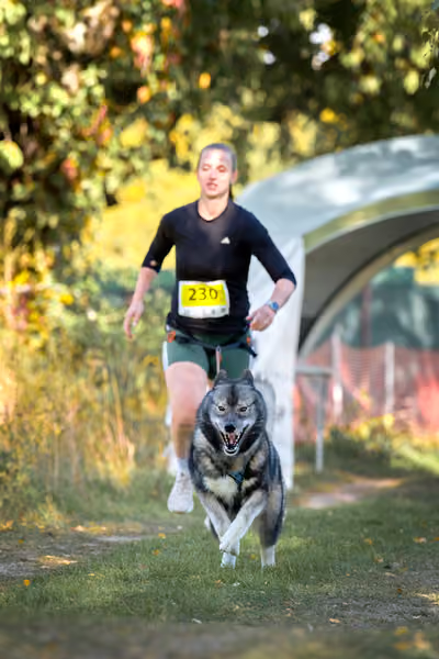CaniKosíř – 3. října 2026