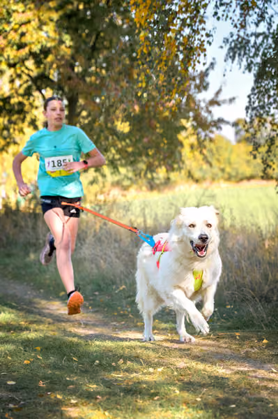 CaniKosíř – 3. října 2026