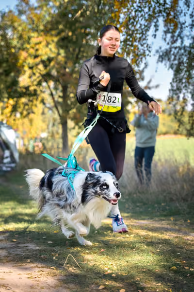 CaniKosíř – 3. října 2026