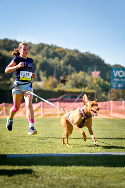 CaniKosíř – 3. října 2026