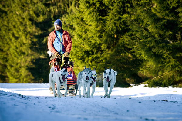Šediváčkův Long – 24. ledna 2026