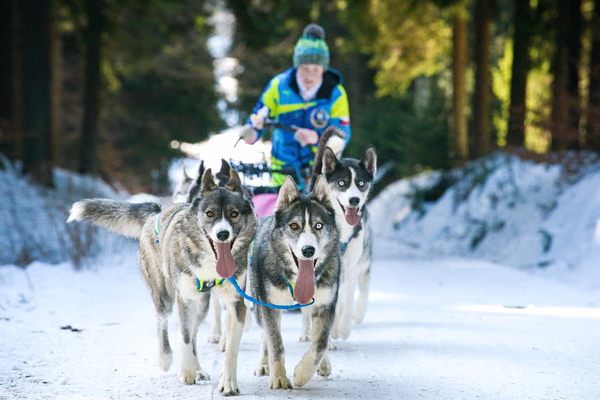 Šediváčkův Long – 24. ledna 2026