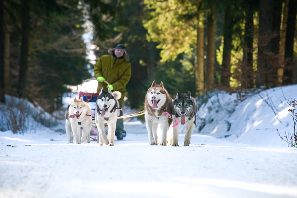 Šediváčkův Long – 24. ledna 2026