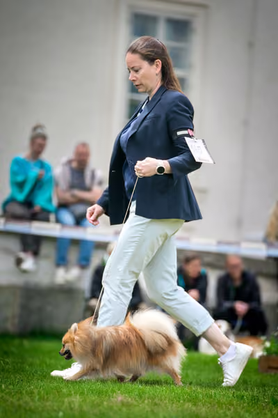 Oblastní výstava Kačina – 17. května 2026