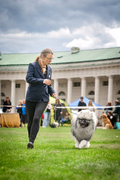 Oblastní výstava Kačina – 17. května 2026
