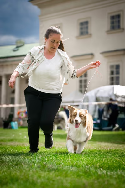 Oblastní výstava Kačina – 17. května 2026