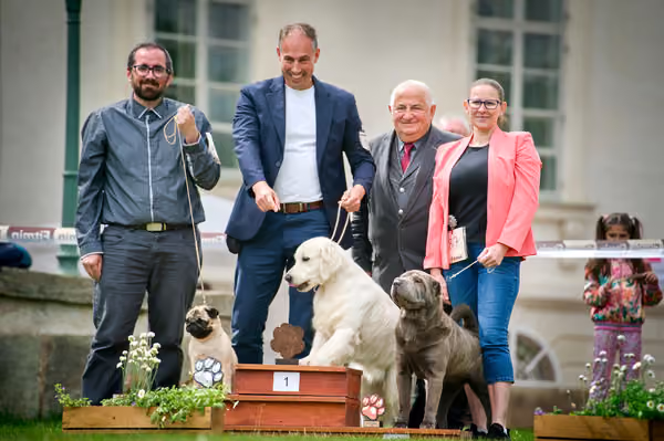 Oblastní výstava Kačina – 17. května 2026